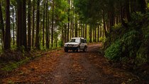 From Angra: Terceira Island Full-Day Jeep Tour (Shared Tour)