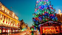 Full Day Dublin Christmas Tour with Cathedral Visit and Market
