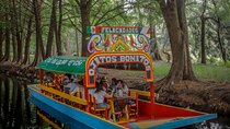 Guacamole a Tasty Adventure Through Xochimilco Markets and Canals
