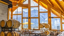 Private Alberta Rocky Mountain and Local Breweries Tour