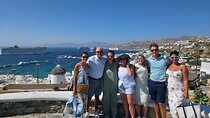 Mykonos Island Tour for Cruise Passengers