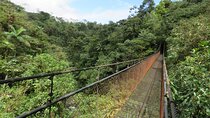 San Luis Canopy Cloud Forest Adventure And Suspension Bridges