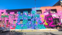 Santiago Barrio Yungay Street Art Walking Tour Experience