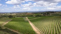 Private Hunter Valley Wine Tour from Sydney Tasting Day Trip
