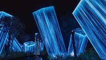 TeamLab Phenomena – Interactive Light, Sound & Motion Wonders