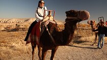 Cappadocia Camel Ride Tour