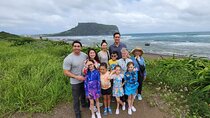 Jeju Island Private Charter Mini Bus & Free schedule Tour 