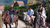 Agerola Horse Ride Activity Tour