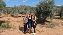 Half-day Olive Oil Farm Experience from Barcelona