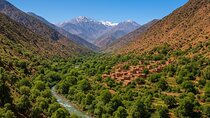 Ourika Valley and Atlas Mountains Day Trip from Marrakech