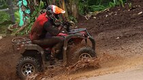 Bali Moto Park: The Only Freeroam Track Dirtbike & ATV All levels