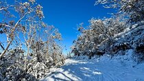 Melbourne: Ultimate Mt Baw Baw Snow Private Tour Experience.