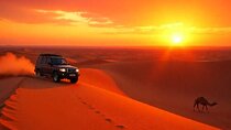Morning Desert Safari on Sharing 