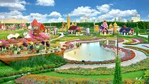 Dubai Miracle Garden and Butterfly Garden Combo Tour