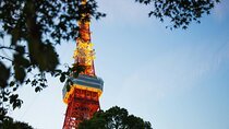 Tokyo Private Driving Tour: Customize Your Day with a Chauffeur