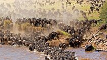 3 Day Joining Safari to Serengeti and Ngorongoro