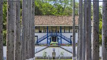 Guided Tour of a Historic Brazilian Coffee Farm