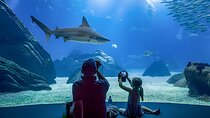 Oceanário de Lisboa Tickets
