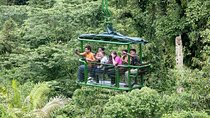 Rain Forest Adventure Full Day Tour from San Jose