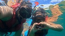 Bali Blue Lagoon Snorkeling Temple Waterfall Tour All Inclusive