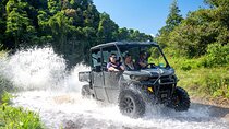  UTV 4wd Cassowary Falls and Daintree Rainforest Adventure tour 