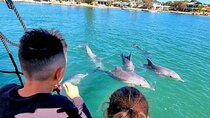 Perth Day Tour: Dolphin Cruise, Wildlife Park, and Swan Valley