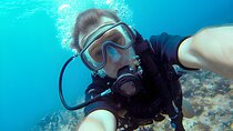 Two Scuba Diving for Beginner with Lunch and Transfer in Hurghada