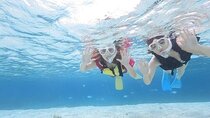 Tokashiki Island Day Tour and Snorkeling Kerama Blue