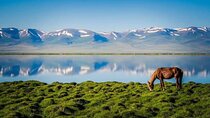 All-Season Son Kul horseback riding Adventure & yurt stay