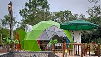 The Tortoise Dome Lodge – Giant Tortoises & Lava Tunnels