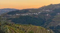 Douro: scenic walk through vineyards to sunset