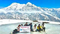 Mardi Himal Trek - 12 Days