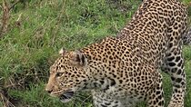 One Day Tour at Tarangire National Park
