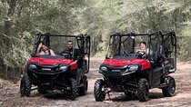 UTV Side by Side Miami Tour 4PAX 1 Hr