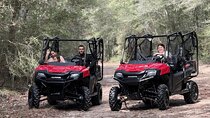 UTV Side by Side Miami Best Tour with Photos Included
