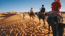 Sunset Camel Ride with Starry Desert Dinner and Fire Show