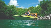 The best Speed Boat and Snorkeling in Cancun "Jungle Tour Adventure "