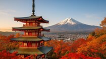 Private Mount Fuji Tour from Tokyo with Onsen and English Driver