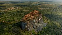 Sigiriya Rock Fortress and Dambulla Day Tour from Bentota