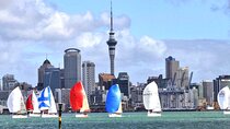 Auckland City Top Sights Half Day Tour - Small Group 