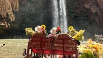 Discover Ouzoud Falls & Playful Wild Monkeys Day Trip