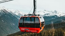 Whistler Wonders, Gondola Thrills and Shannon Falls 1-Day Tour