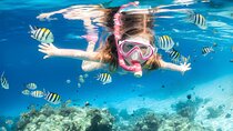 Hurghada: Orange Bay Island Full-Day Boat Trip with Snorkeling