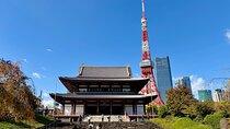Tokyo Private Customizable Tour by Car with Local Guide