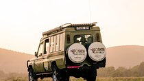 5-Day Private Northern Tanzania Safari from Arusha