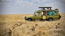 3-Day Classic Serengeti Safari