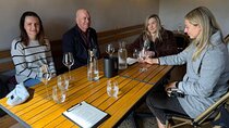 Full Day Wine Tasting Tour in McLaren Vale