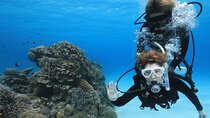 Full Day Scuba Diving Experience in Tokashiki by High Speed Boat