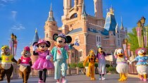 Tokyo Disneyland 1-Day Pass with Private Hotel Pick-Up & Drop-Off
