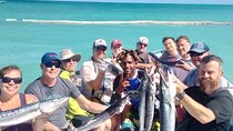 Deep Sea Fishing Puntacana V.I.P SERVICES 